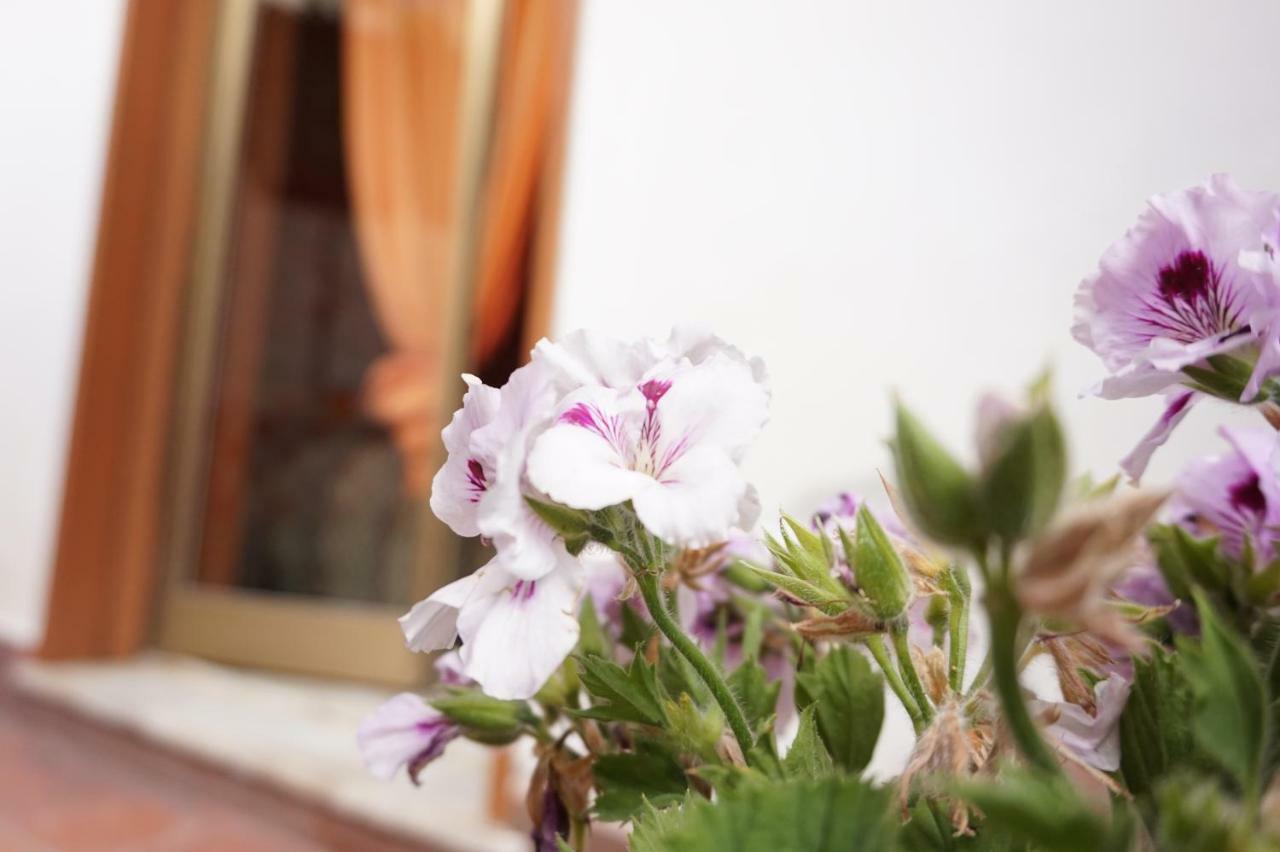 B&B Sikily Naxos Giardini Naxos Eksteriør bilde